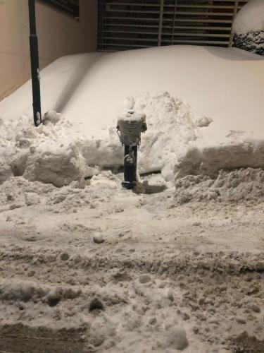 hydrant8